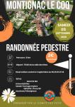 Randonnée pédestre