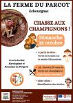 À la chasse aux champignons !