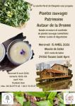 Atelier plantes sauvages